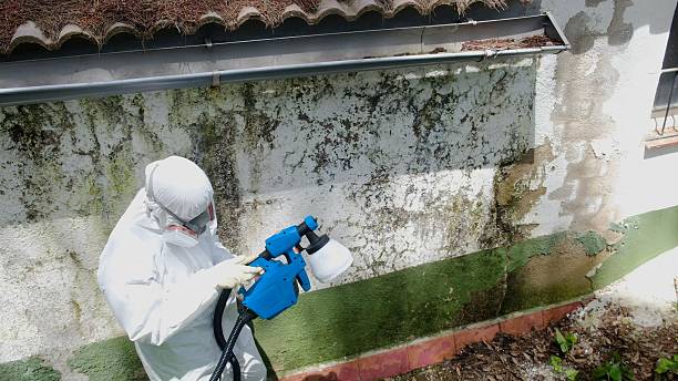 Trusted Commercial Mold Remediation service in Westphalia, MD - Cheap Mold Removal